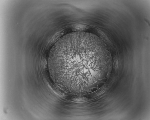 X0000102300459200808011544