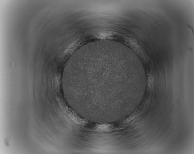 X0000102300461200808011544