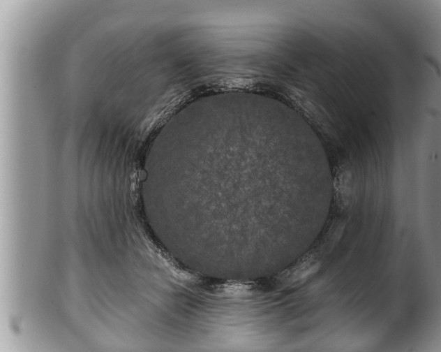 X0000102300462200808011544