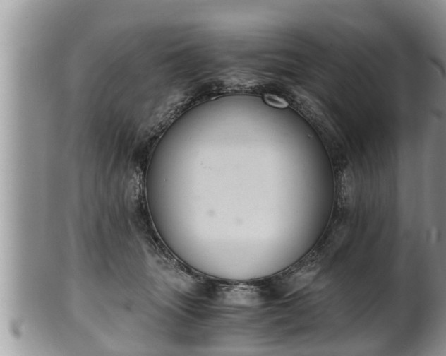 X0000102300463200808011544