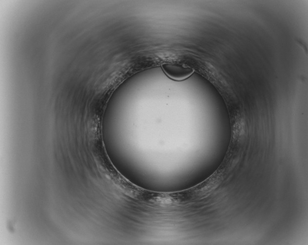 X0000102300464200808011544