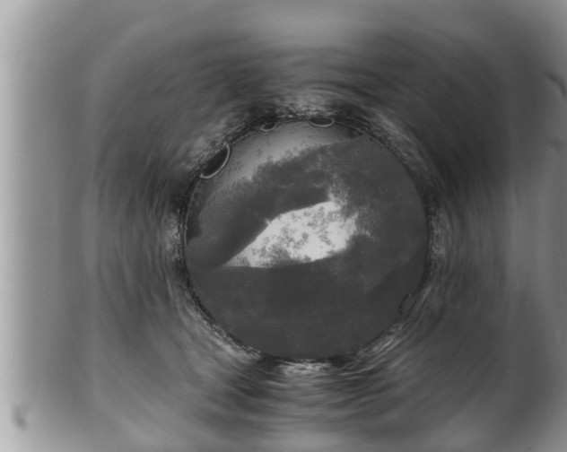 X0000102300465200808011544