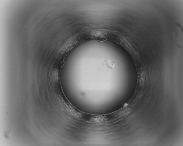 X0000102300466200808011544