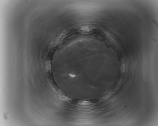 X0000102300467200808011544