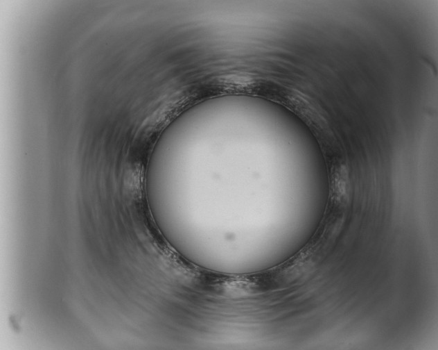 X0000102300468200808011544