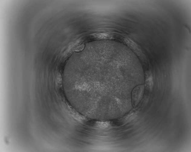 X0000102300469200808011544