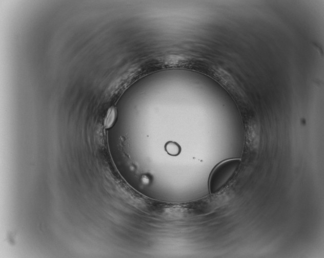 X0000102300470200808011544