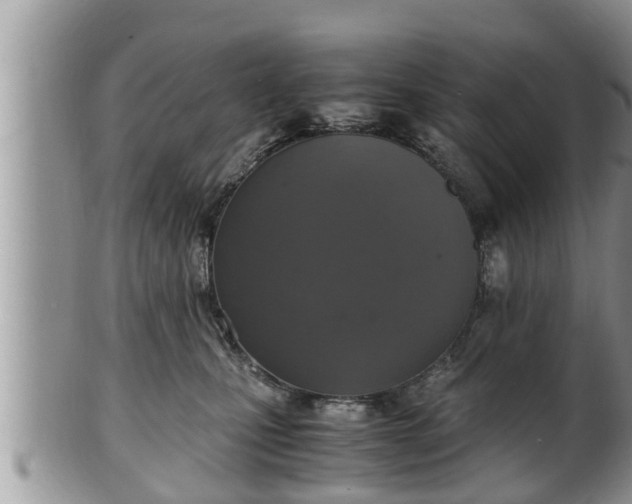 X0000102300471200808011544