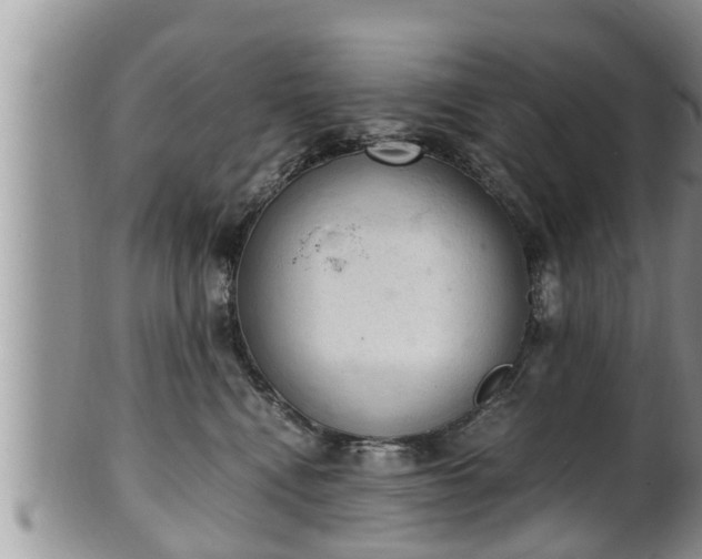 X0000102300472200808011544