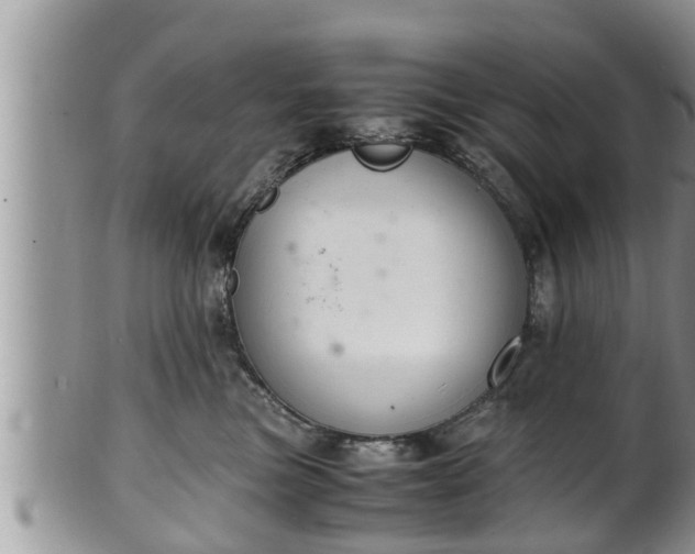 X0000102300473200808011544