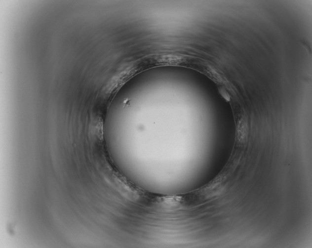 X0000102300474200808011544