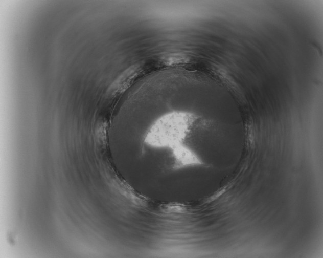 X0000102300475200808011544