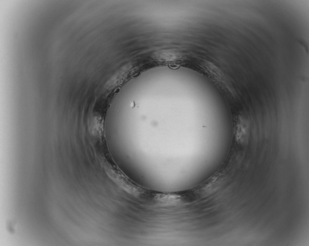 X0000102300476200808011544