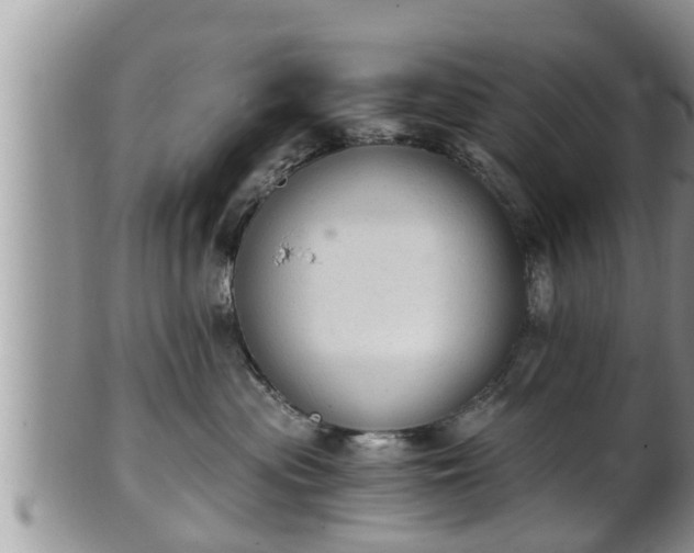 X0000102300477200808011544