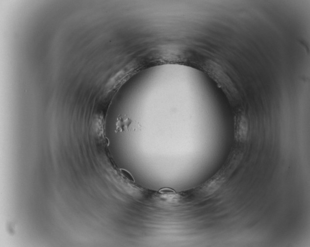 X0000102300478200808011544