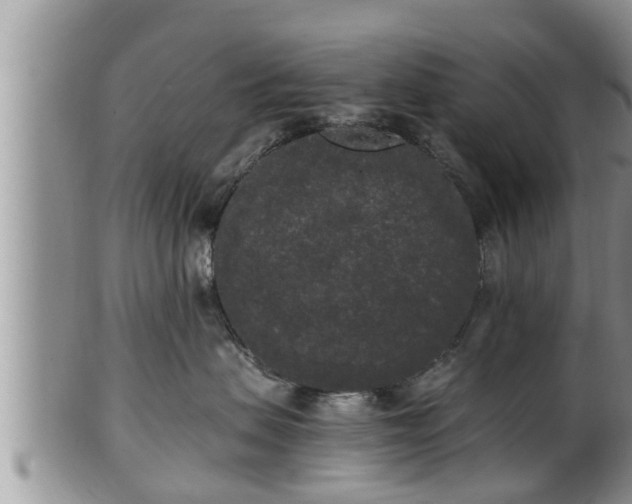 X0000102300479200808011544