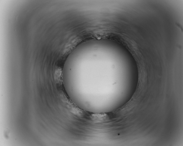 X0000102300480200808011544