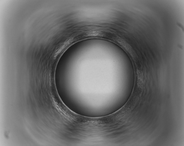 X0000102300482200808011543