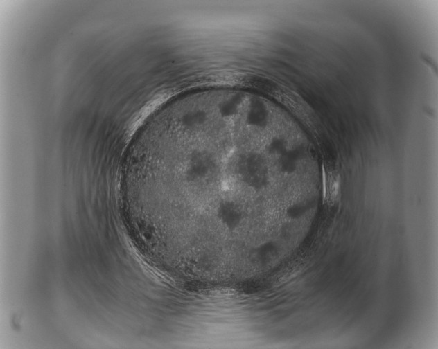 X0000102300483200808011543