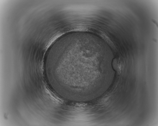 X0000102300484200808011543