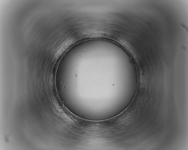 X0000102300485200808011543