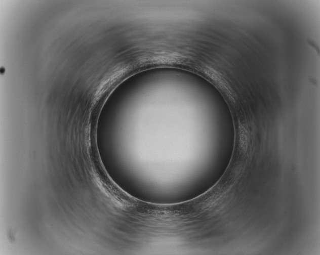 X0000102300486200808011543