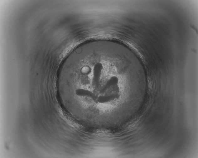 X0000102300487200808011543