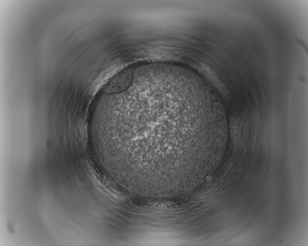 X0000102300488200808011543