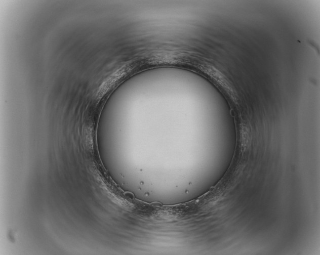 X0000102300489200808011543