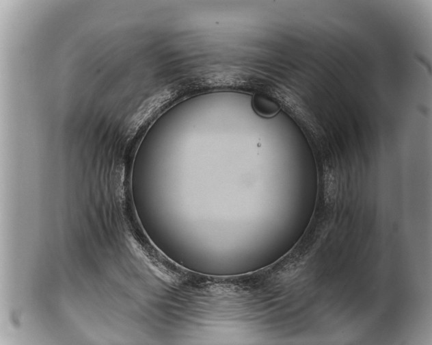 X0000102300490200808011543