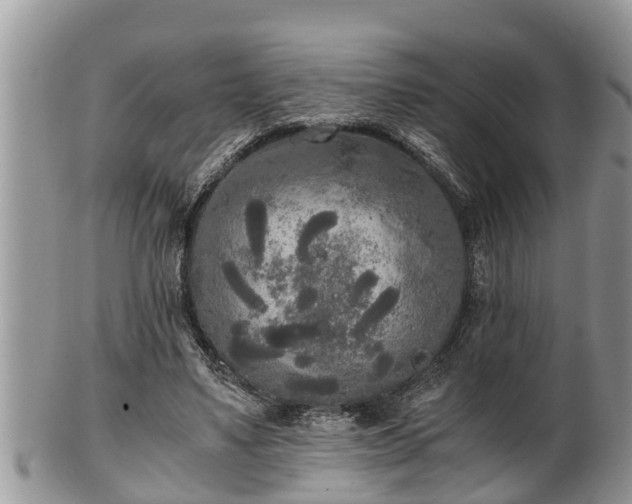 X0000102300491200808011543