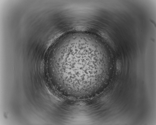 X0000102300492200808011543