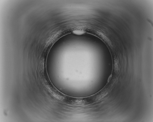 X0000102300493200808011543