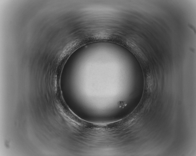 X0000102300494200808011543