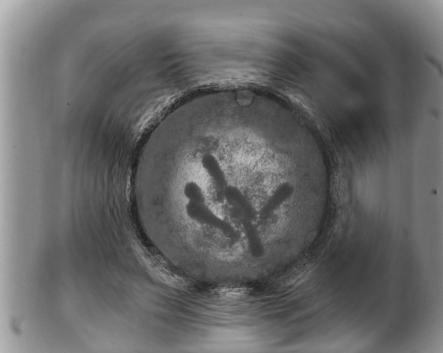 X0000102300495200808011543