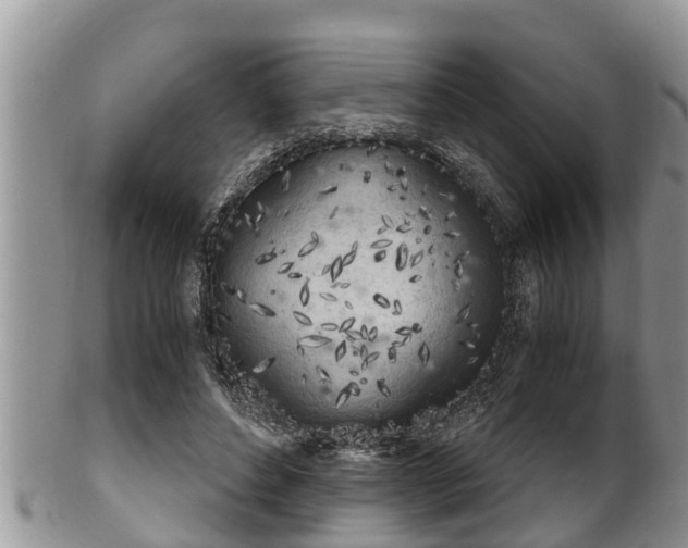 X0000102300496200808011543