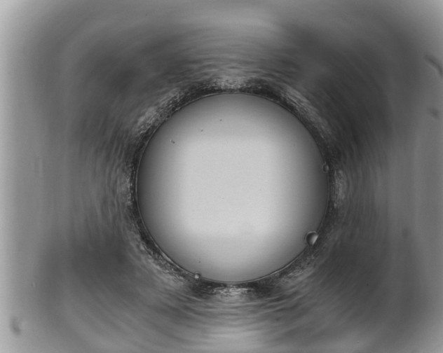 X0000102300497200808011543