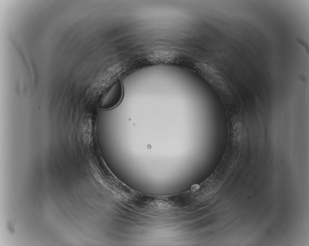 X0000102300498200808011543