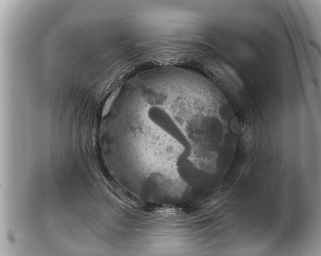 X0000102300499200808011543