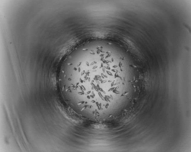 X0000102300500200808011543