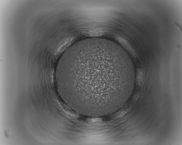 X0000102300501200808011543