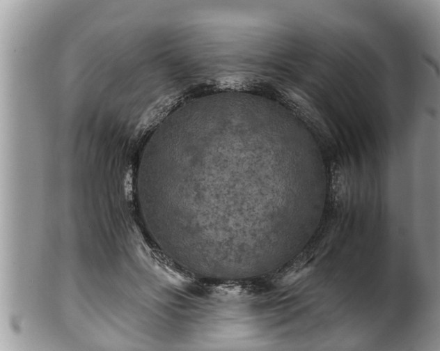 X0000102300502200808011543