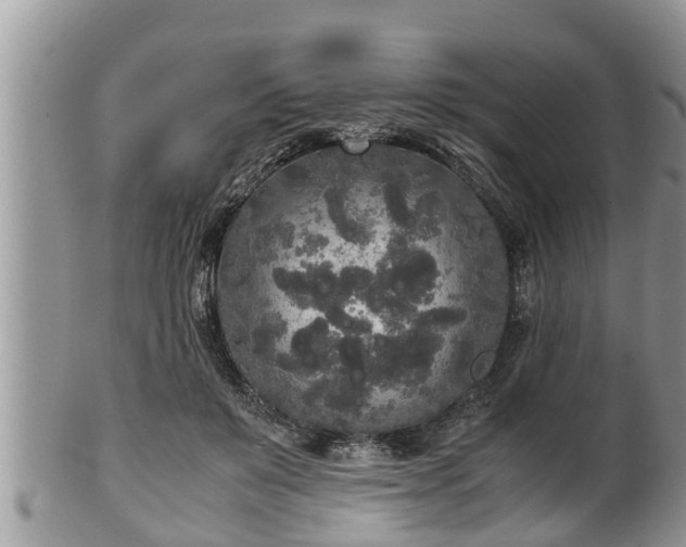 X0000102300503200808011543