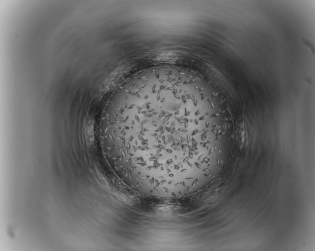 X0000102300504200808011543