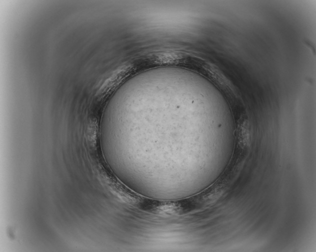 X0000102300505200808011543