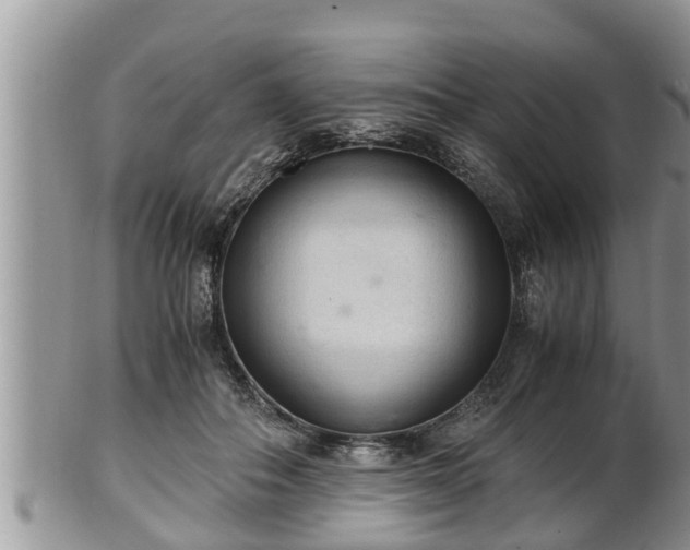 X0000102300506200808011543