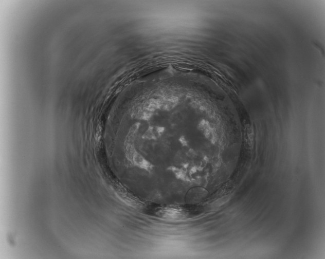 X0000102300507200808011543