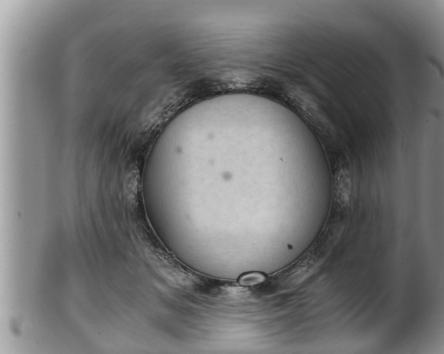 X0000102300509200808011543