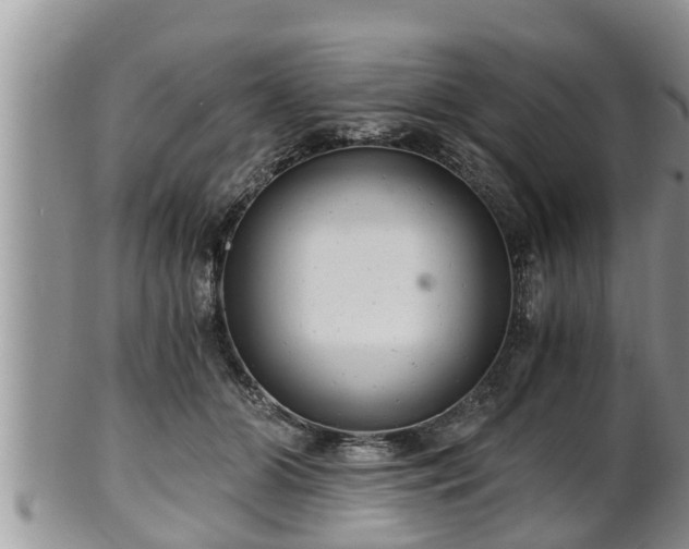 X0000102300510200808011543