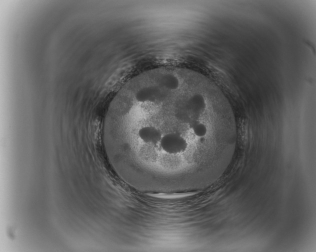 X0000102300511200808011543